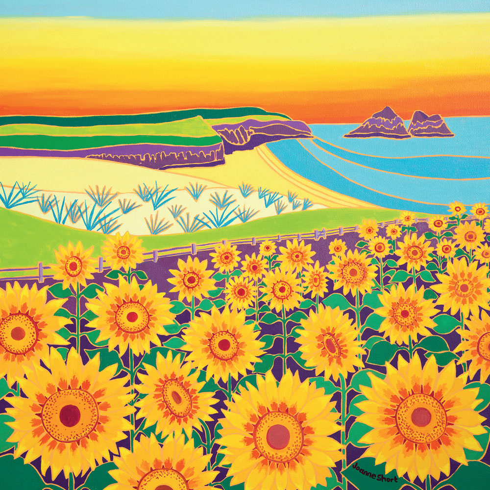 greetings card "sunflowers, holywell bay sunset"